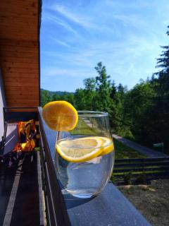 Zaciszny Zakątek Zawoja - 5