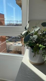 Palace Residence - Habitación en apartamento - Granada - 2