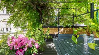 Maison Marais - calme et terrasse - Paris - 9