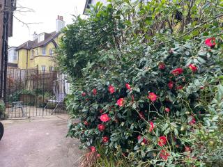 Livadia House at St Leonards on Sea - St. Leonards - 8