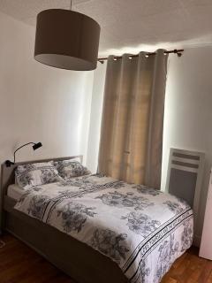 chambre d'hote - Issy-les-Moulineaux - 4
