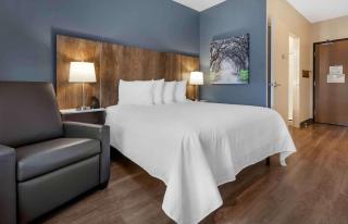 Extended Stay America Premier Suites - Fredericksburg - 1