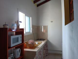 Plumeria Vil 'AJ - 5