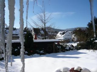 Holiday apartment Caspari in Winterberg - 8