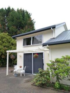 Amazing Lakeview Loft - Rotorua - 7