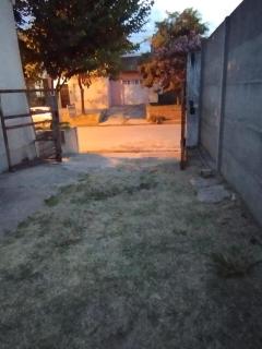 Andrade - Colón - 1