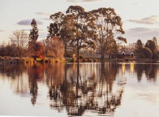 HighTree Chalets - - 7