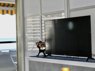 Appartement 3 Pièces avec Terrasse, 4 Couchages, Climatisation, Villeneuve-Loubet Plage - FR-1-252A-116 - 3