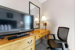 Metro Scottsdale Promo 1 bd 1 - Scottsdale - 4