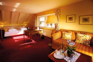 Hotel Rebstock Durbach - 1