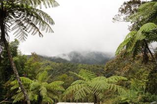 Ayana Holiday Resort - 9