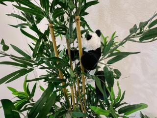 [Centro Storico] Spina Green House - 1