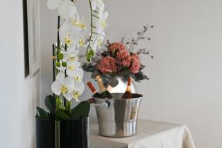 Naturhotel Rebling - Bernried - 2