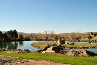 Super 8 by Wyndham Newcastle - Newcastle - 3