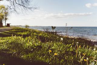 Gut Oehe - Maasholm - 8