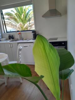 The Tiny Abode - Snells Beach - 3