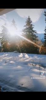 Le Chamroussien - Appartement 1700 - Chamrousse - 5