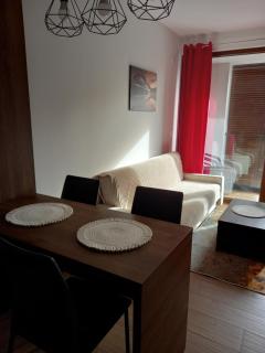 Apartmani Gavric Borovi 2 - 4