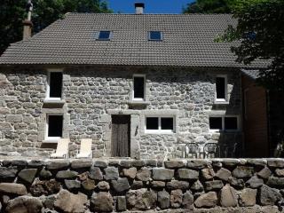 joli gîte entre le lac d'Issarles et le Mt gerbier - Cros-de-Géorand - 0