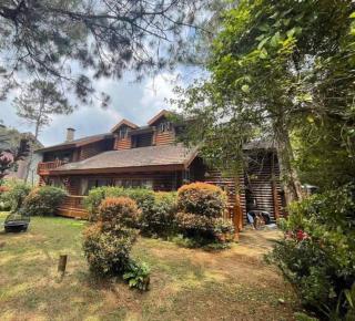 Camp John Hay Log Homes - Baguio - 0