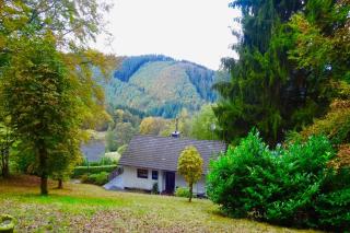 Schöne Aussicht am Eifelsteig - Monschau - 9