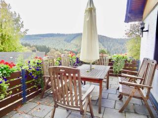 Schöne Aussicht am Eifelsteig - Monschau - 5