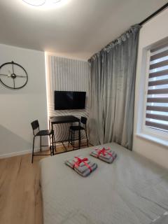 Slate Apartament Polanica - Zdrój - 8
