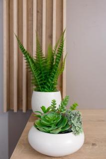 Uptown Apartments - Garden Pavillion - 5