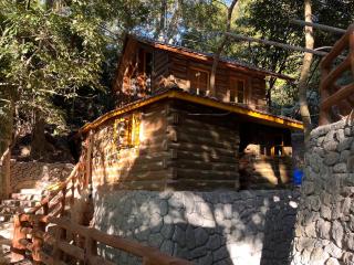 The Forest Creek Cabin - - 3