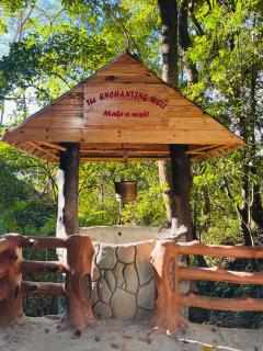 The Forest Creek Cabin - - 2