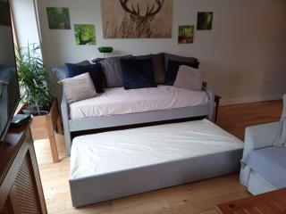 Lovely 2 bedroom condo in exclusive development. - Dublin - 7