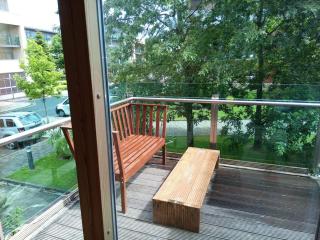 Lovely 2 bedroom condo in exclusive development. - Dublin - 2
