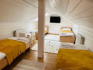 FRIENDS HOUSE - Ізки 33 - Nizhniy Studenyy - 3