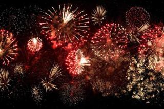 Pet Friendly Family Home In Brisbane - Relocations and Family Stays - Fast Internet - Parking - Netflix - 4