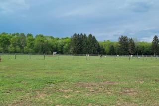 COUNTRY HOUSE LA MIA TERRA - 9