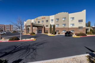 Comfort Suites University - 9