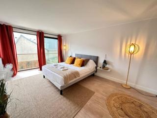 Drouet d'Erlon duplex spacieux, terrasse au centre - Reims - 8