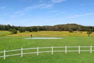 The Sanctuary - Family Retreat - Noosa Hinterland - 3