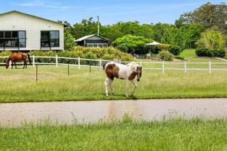 The Sanctuary - Family Retreat - Noosa Hinterland - 1