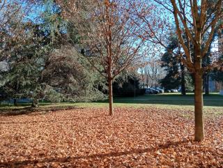 SANDONHOUSE MILANO - San Donato Milanese - 6
