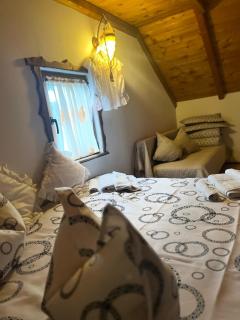 Cabana Rustic - Borşa - 7