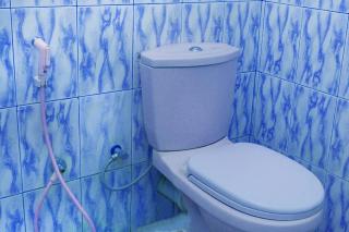 Randeniya Rest inn please call befor e booking - Wellawaya - 7