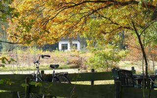 Tiny House de Berken - 3