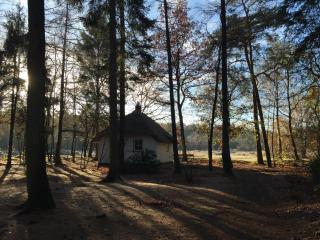 Tiny House de Berken - 1