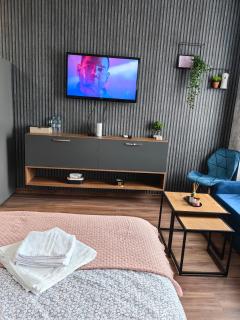 Luxury Apartment/Studio - Plovdiv - 2