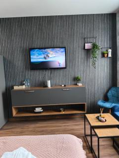Luxury Apartment/Studio - Plovdiv - 1