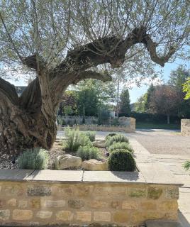 Greystone Guesthouse - Titchmarsh - 3
