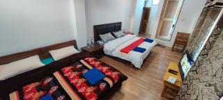 Lynx ibex colony near Leh airport - 4