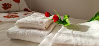 Rooftop Panorama Apartment - 1