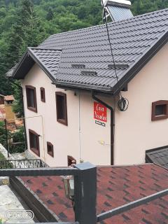 Casa Nicolas Busteni - Buşteni - 7